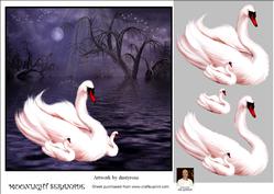 Moonlight Seranade