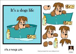 It's a Dogs Life