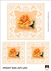 Apricot Rose and Lace