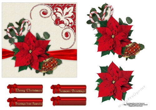 Australian Pointsettia Christmas Card 