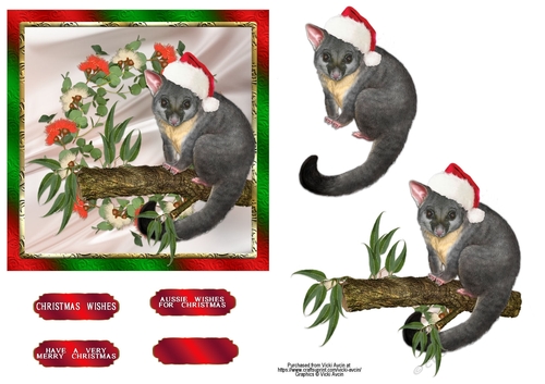 Australian Possum Christmas Card 