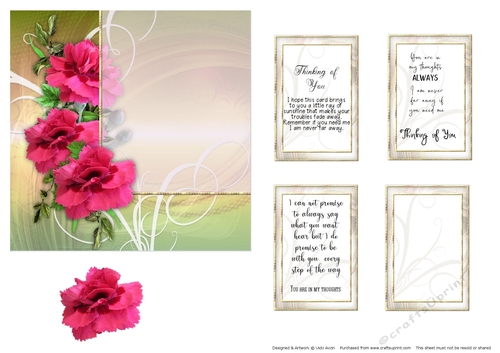 Carnation Thinking of You 