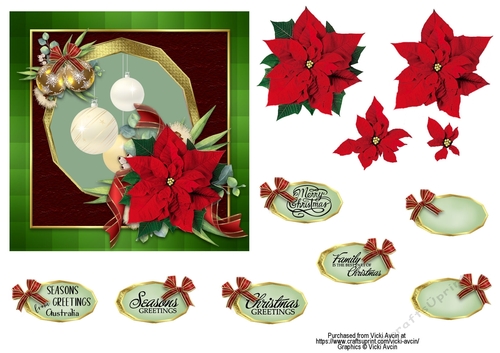Australian Pointsettia Floral Christmas