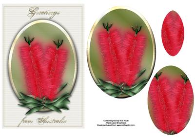 Australian Bottlebrush Christmas Greeting