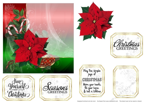 Christmas Poinsettia 
