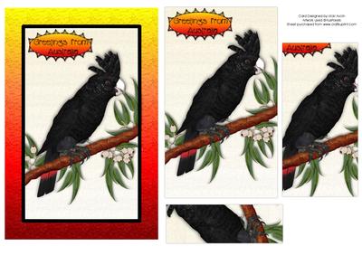 Australian Red Tail Black Cockatoo Greeting