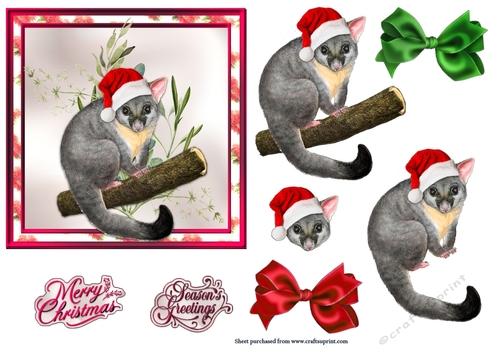 Australian Possum Christmas