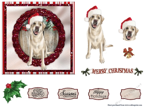 Labrador Christmas