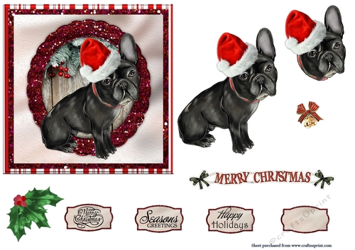 Pug/Staffy Christmas