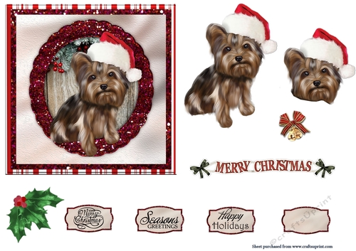 Silky Terrier Christmas