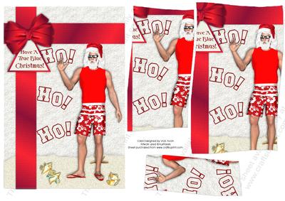 Aussie Santa in Boardys Christmas