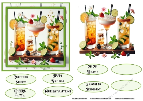 cup1373404_543 - Cocktail Birthday or Retirement 4