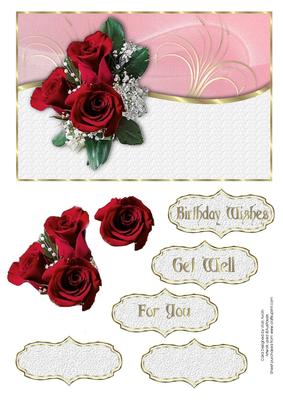Red Roses Birthday or Get Well