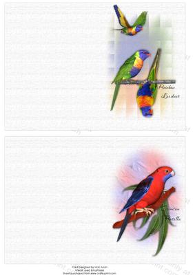 Australian Rainbow Lorikeets and Crimson Rosella Notelets
