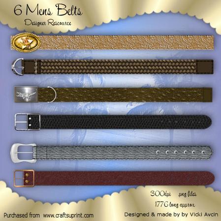 6 Mens Belts