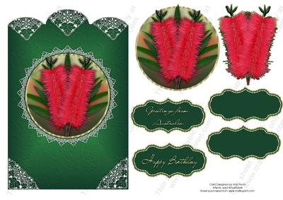 Australian Bottlebrush Birthday or Greeting