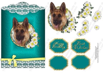 Dog Scallop Top Birthday