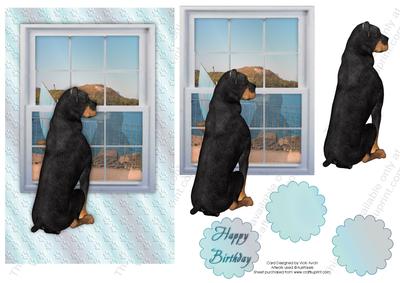 Rottweiler Looking Out Window Birthday