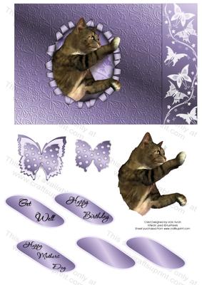 Cat and Butterfly Ripped Birthday