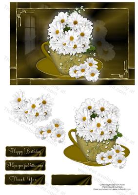 White Chrysanthenum in a Teacup