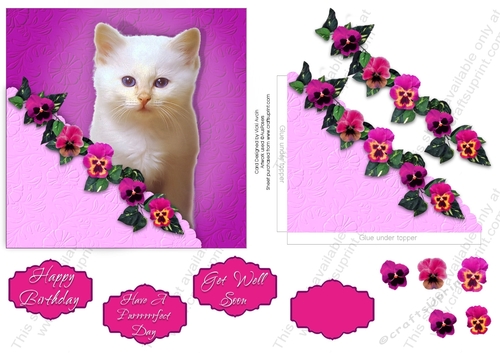 Cute White Kitty with Embossed look and faux Corner Pocket