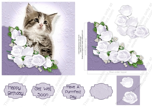 Cute Tabby Kitty with Embossed look and faux Corner Pocket