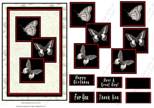 Black and Cream Collection Butterflies 