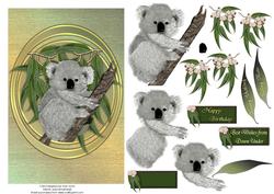 Australian Koala Greeting Card