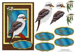 Australian Kookaburra Birthday or Greeting Card