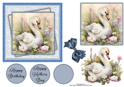 cup1213492_543 - Swan Birthday #1