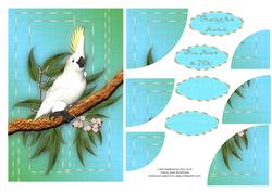 Australian Cockatoo Greeting Card