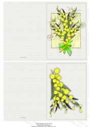 Australian Wattle Notelets
