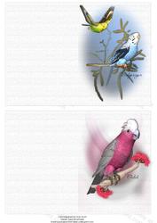 Australian Budgerigar and Galah Notelet