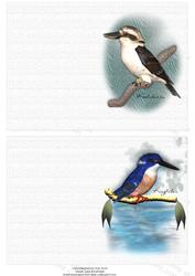 Australian Kookaburra and Kingfisher Notelet
