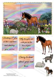 Pet Loss Sympathy