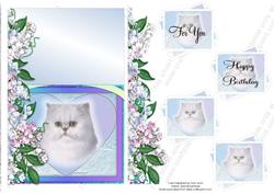 Cat in Rainbow Heart Birthday