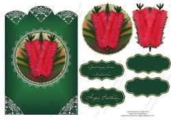 Australian Bottlebrush Birthday or Greeting