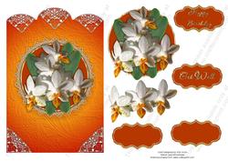 White and Orange Orchid