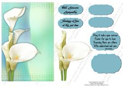 Calla Lily Sympathy