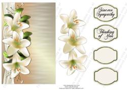 White Lillies Sympathy
