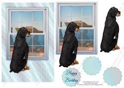Rottweiler Looking Out Window Birthday