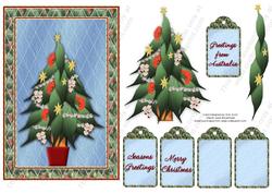 Australian Gum Christmas Tree