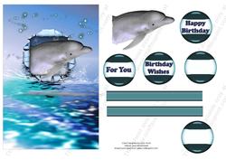 Dolphins Ripped Birthday