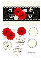 Black and Cream Collection Gerbra