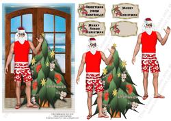 Australian Christmas Window Scene