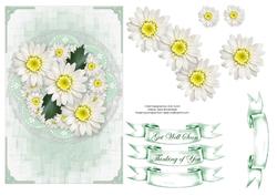 White Daisies