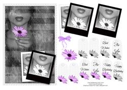 Purple Daisy Card