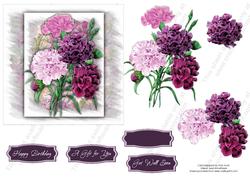 Purple and Pink Carnations Masked