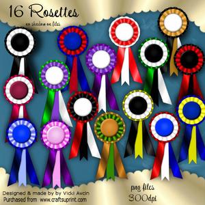 16 Rosettes