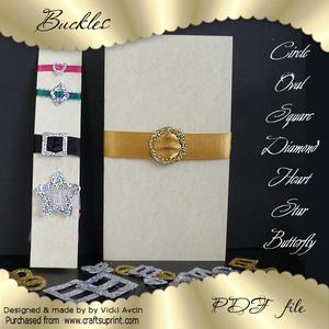 Miscellaneous Buckles Value Pack